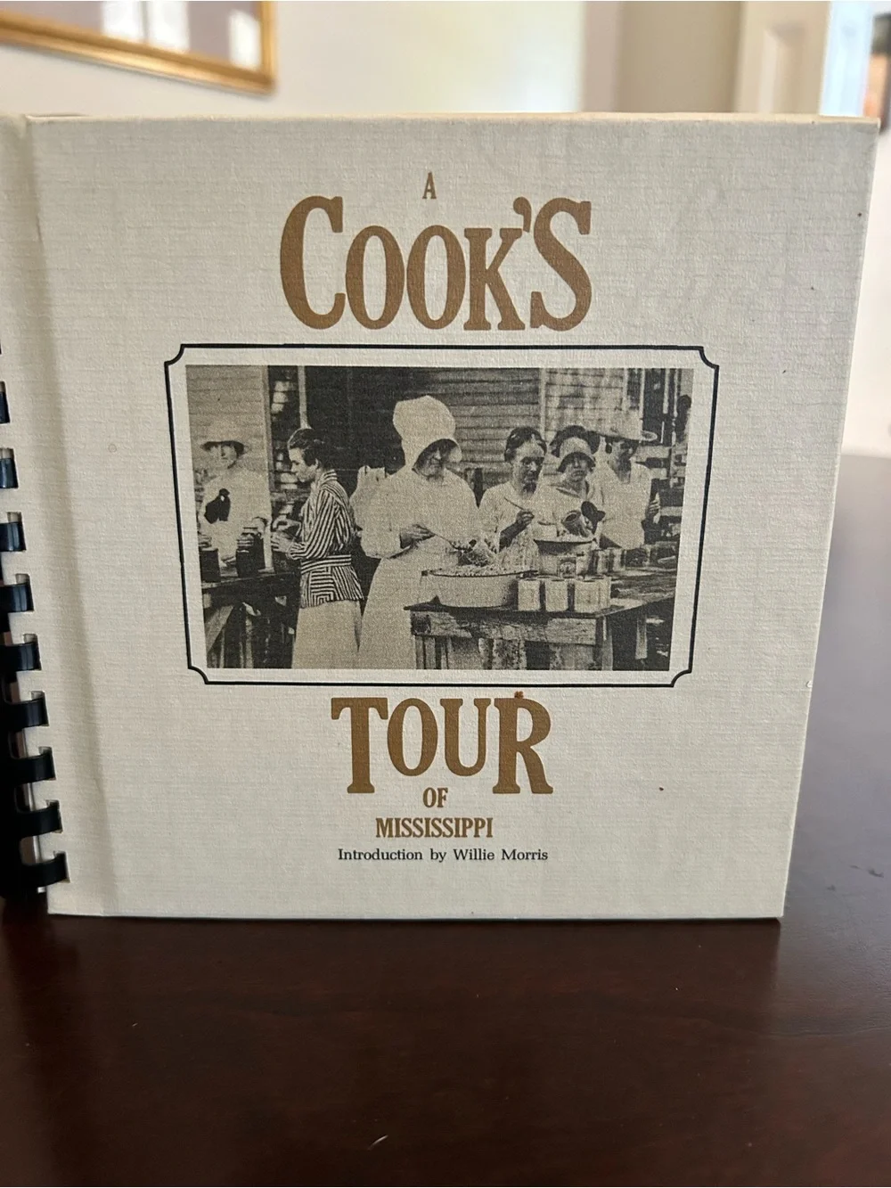 A Cook's Tour of Mississippi Cookbook - Vintage Cookbook